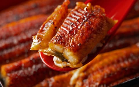 うなぎ乃助 京都八幡店