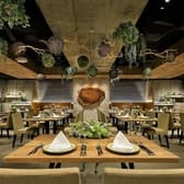 Casa Asteion カーサ アスティオン 3