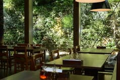 モキチ トラットリア 香川 2