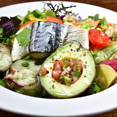 vegetus+ ヴェジェトゥス プラス 2