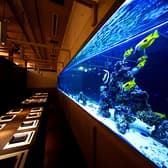 傳 アクアルーム 大宮 3