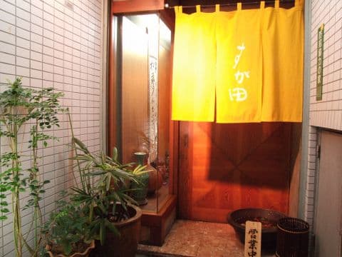 ダイドコロ DAIDOCORO すが田