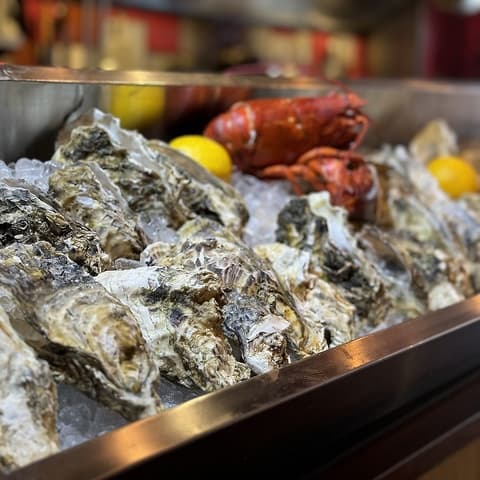 新福島 牡蠣と肉たらしビストロKAI カイ 