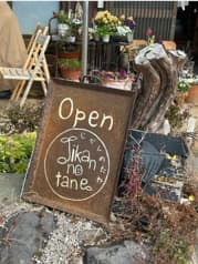 じかんのたね 2