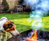 ワンコカフェ&BBQ ジビエールカフェ 3