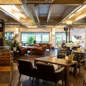 パラダイス カフェ 3