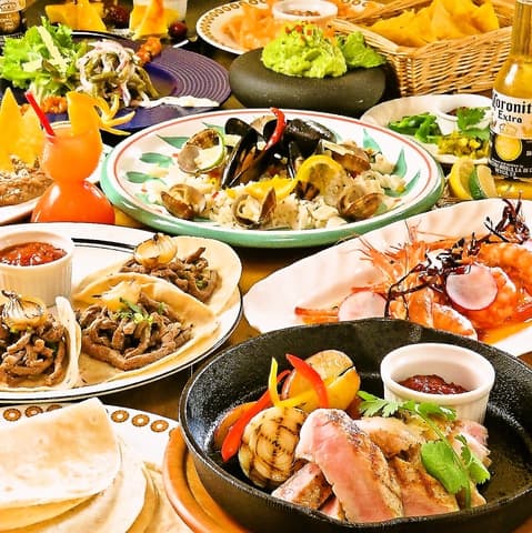 ViVA LA ViDA ビバ ラ ビダ