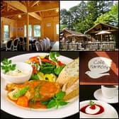 カフェ ハーモニー Cafe Harmony 3