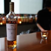 bar カクレミノ 3