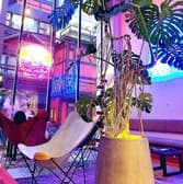 Shamba 大阪アメ村店 3