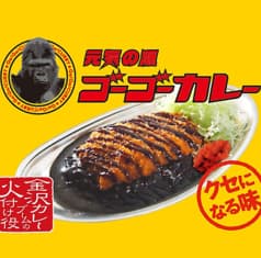ゴーゴーカレー小川町店 2