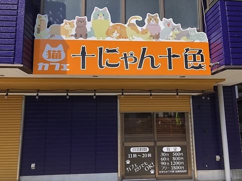 猫カフェ 十にゃん十色