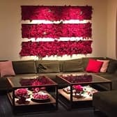 ARBREVE アルブレーヴ 3