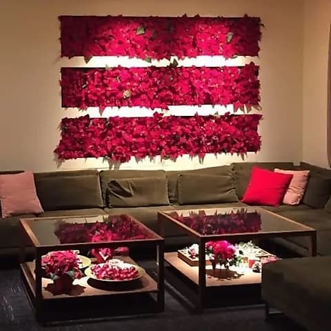 ARBREVE アルブレーヴ