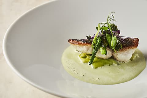 L attache ラターシュ