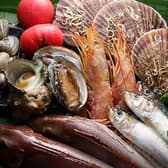 鉄と魚 黒おじ 3