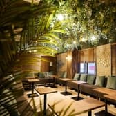 カフェ＆ピザ　C.STAND（シースタンド）　熊本下通店 3