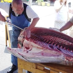 築地すし一番 4丁目場外市場店 2