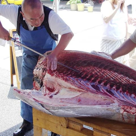 築地すし一番 4丁目場外市場店