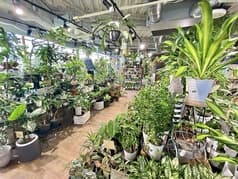 ガーデナーズ てんしばイーナ店 2