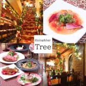 Tree ツリー 3