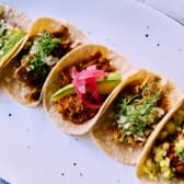 Modern Mexican CABOS カボス田町店 3