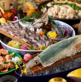 玄海の地魚と地酒 博多 飛うお 3