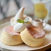 Panel Cafe パネルカフェ 春日井店 3