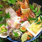 海鮮居酒屋 侍 北野坂店 3