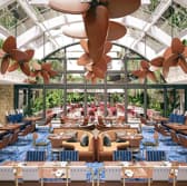 The Sail Kitchen ザセイルキッチン 3