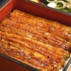 大宮 うなぎ 山家本店 2