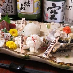 大衆割烹 魚だい商店 2