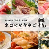 ネコにマタタビ名駅店 3