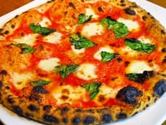 daRumA 松阪 ダルマ 2