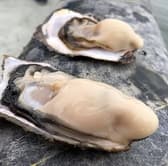 牡蠣と寿司 うみのおきて 仙台銀座店 3