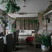 TRIBE Top Terrace うえの水たばこ 3