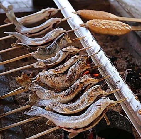 天魚パークランド