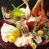 わびさび 新橋本店 3