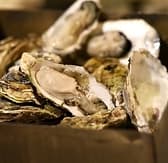 牡蠣乃家 坂戸店 3