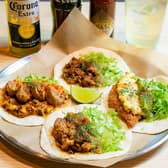 KAMATACOS カマタコス 3