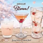 バームーンウォーク bar moon walk 三ノ宮店 3