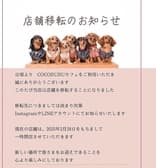 ドッグカフェ COCORURU ココルル 3