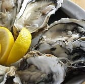 月島 牡蠣入レ時 3