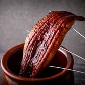 ニホンウナギ 大門 山梨小江戸甲府花小路 3