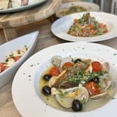 ドッグバルBIBICHE 3