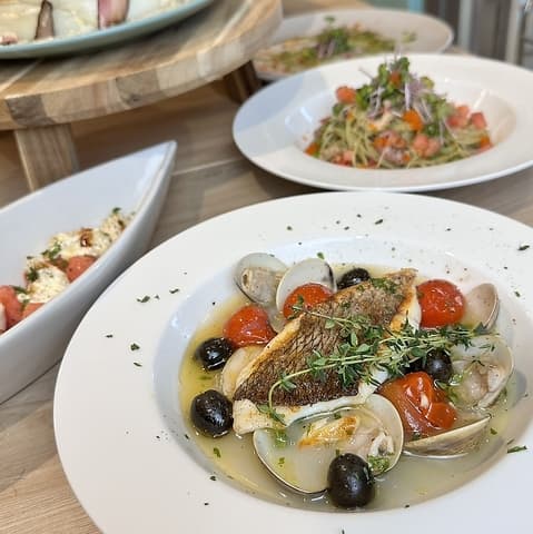 ドッグバルBIBICHE