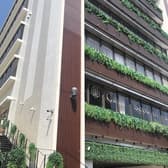 Cafe Seed of Life カフェシードオブライフ 3