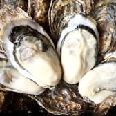 ろばた 大助 本店 3