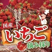 ピッツェリアマリノ 柏高島屋店 3