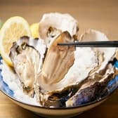 生牡蠣と極み牛タン RAKUGAKI 横浜鶴屋町店 3